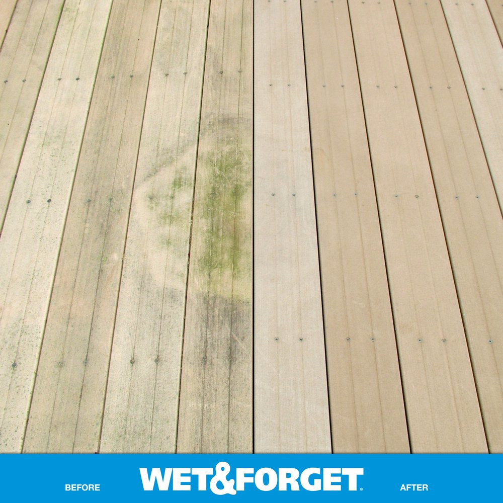 Liquid Outdoor Surface Cleaner Moss Mold Mildew & Algae Stain Remover
