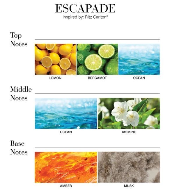 Escapade 500mL Diffuser Oil Inspired By Ritz Carlton – Aroma360 Hotel Collection