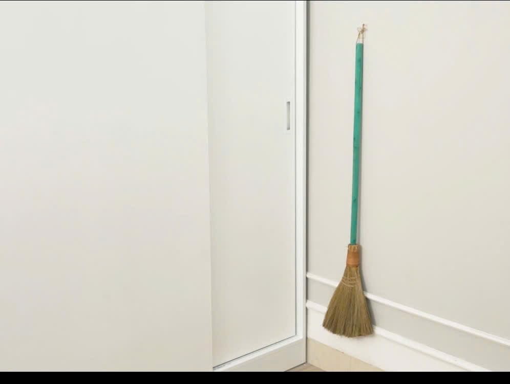 TTS For Home – Vietnamese Straw Soft Broom – Sweeping with Green