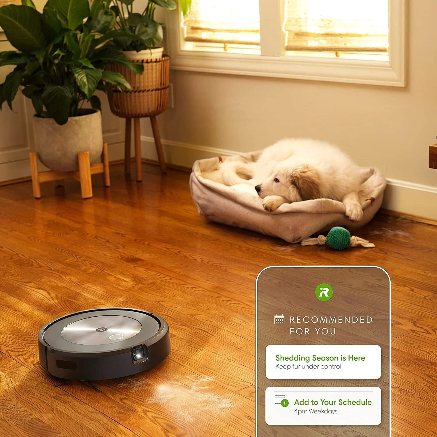 iRobot Roomba j7+ Self-Emptying Vacuum Cleaning Robot