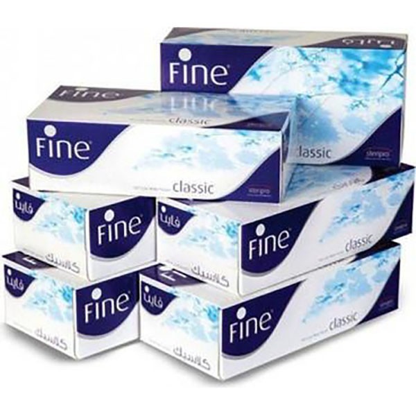 Professional 2-Ply Flat Facial Tissue Bulk Boxes 100 Sheets 66/Case
