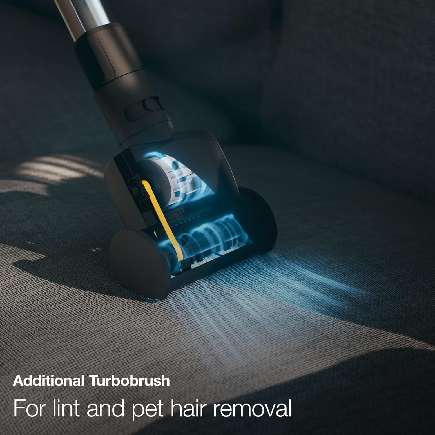 Miele Classic C1 Cat & Dog Bagged Canister Vacuum, Lotus White – Pet Hair, Porta