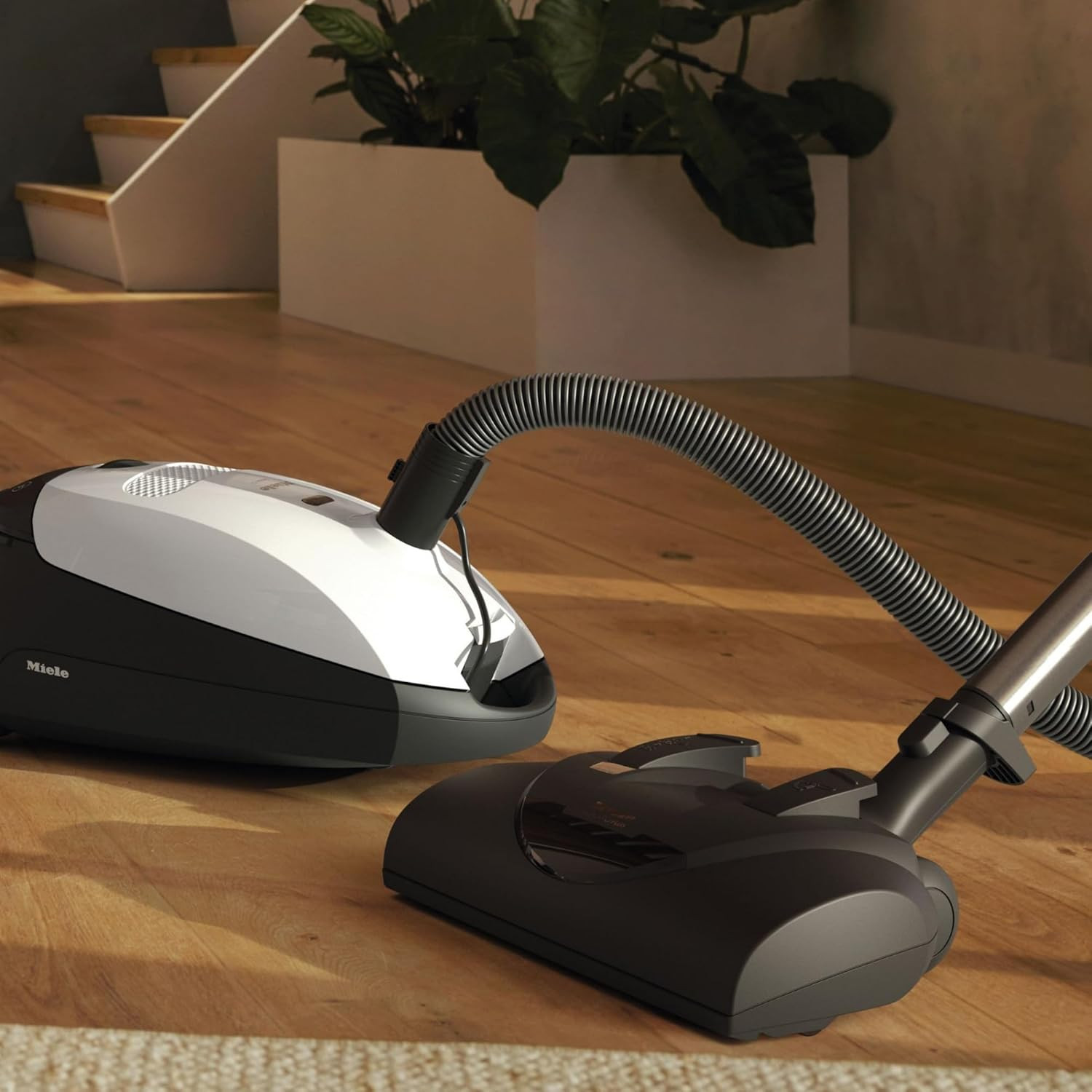 Miele Classic C1 Cat & Dog Bagged Canister Vacuum, Lotus White – Pet Hair, Porta