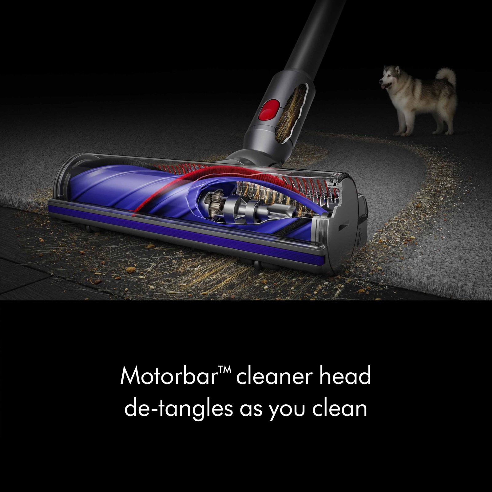 Dyson V8 Cordless Vacuum | Silver | Refurbished
