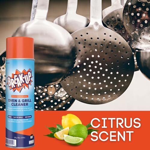 19 Ounce Heavy Duty Institutional Cleaner for Commercial Ovens and Grills