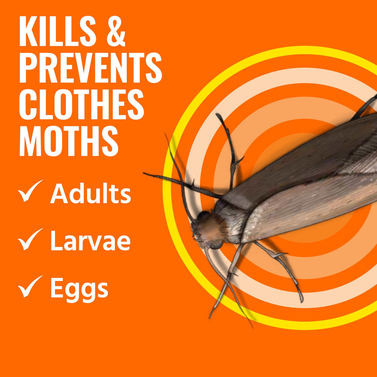TERRO Clothes Moth Killer – T2903 3 Pack | Kills Adult Clothes Moths, Larvae…