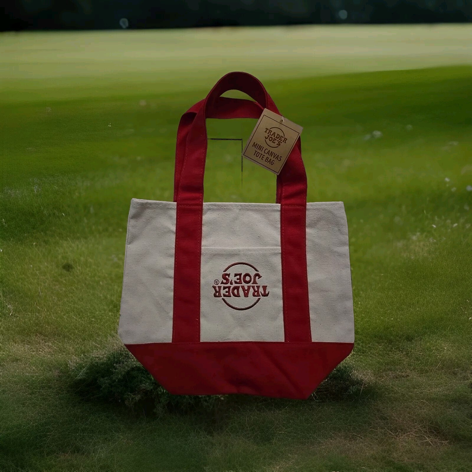 Trader Joe Canvas Upside Down Label. RARE COLLECTIBLE ITEM. See Pictures. 1 BAG!