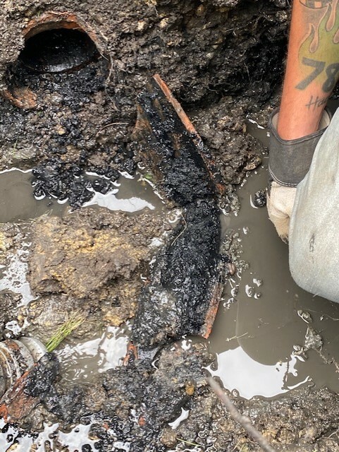 Bio-Safe One, Inc -Level 1 Shock BIO-112 Heavy Sludge & 3 YR BOSS – 42 Mo Supply