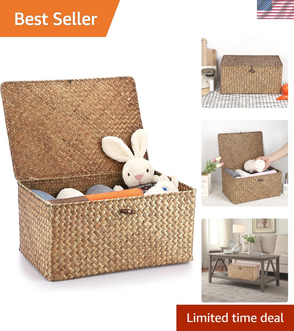 Natural Wicker Shelf Baskets with Lift-Off Lid – Coffee Color, Rustic Charm