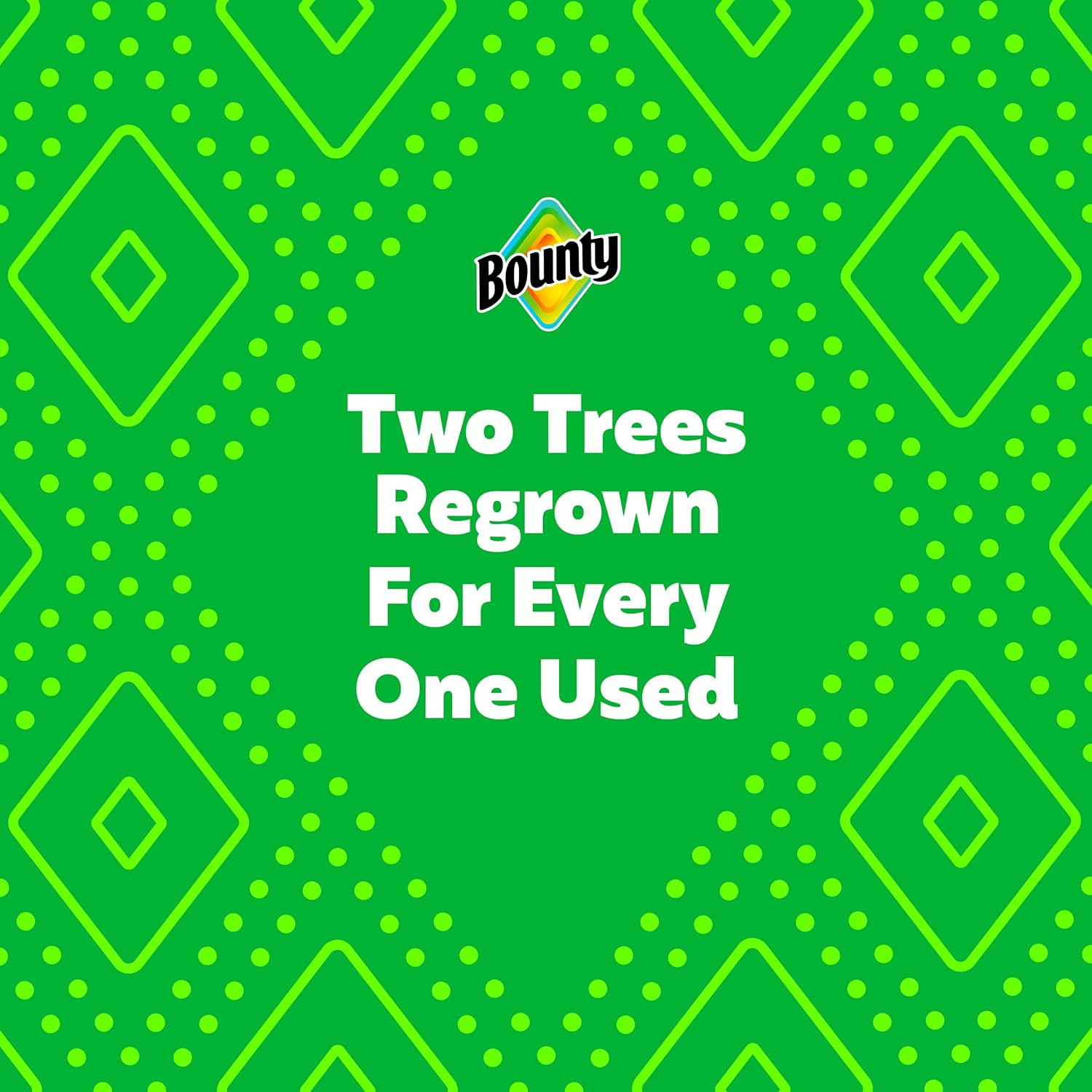 Select-A-Size White Paper Towels, 2 Triple Rolls = 6 Regular Rolls