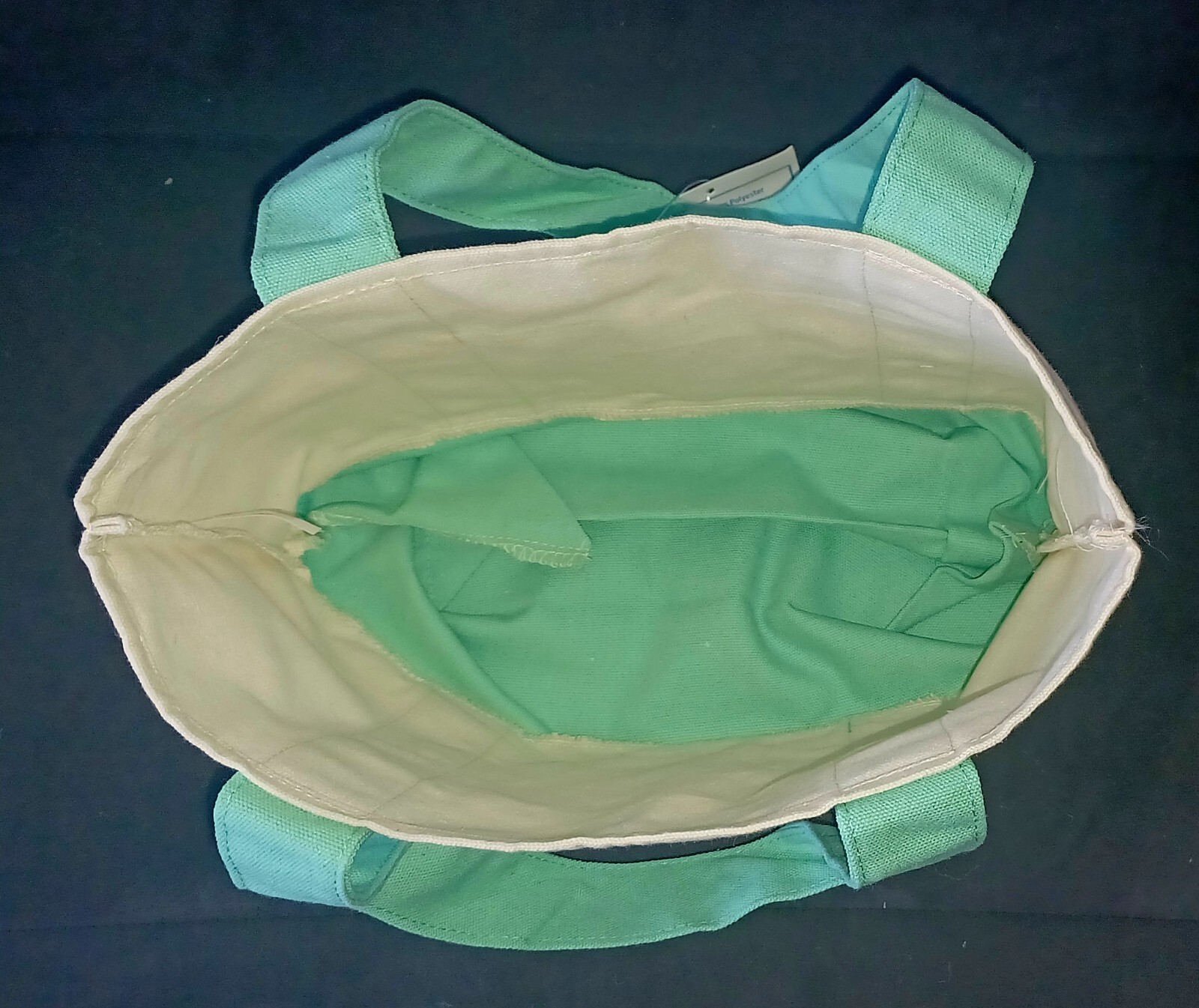 Trader Joe’s Pastel Mini Canvas Tote Bags 2025 NWT Green
