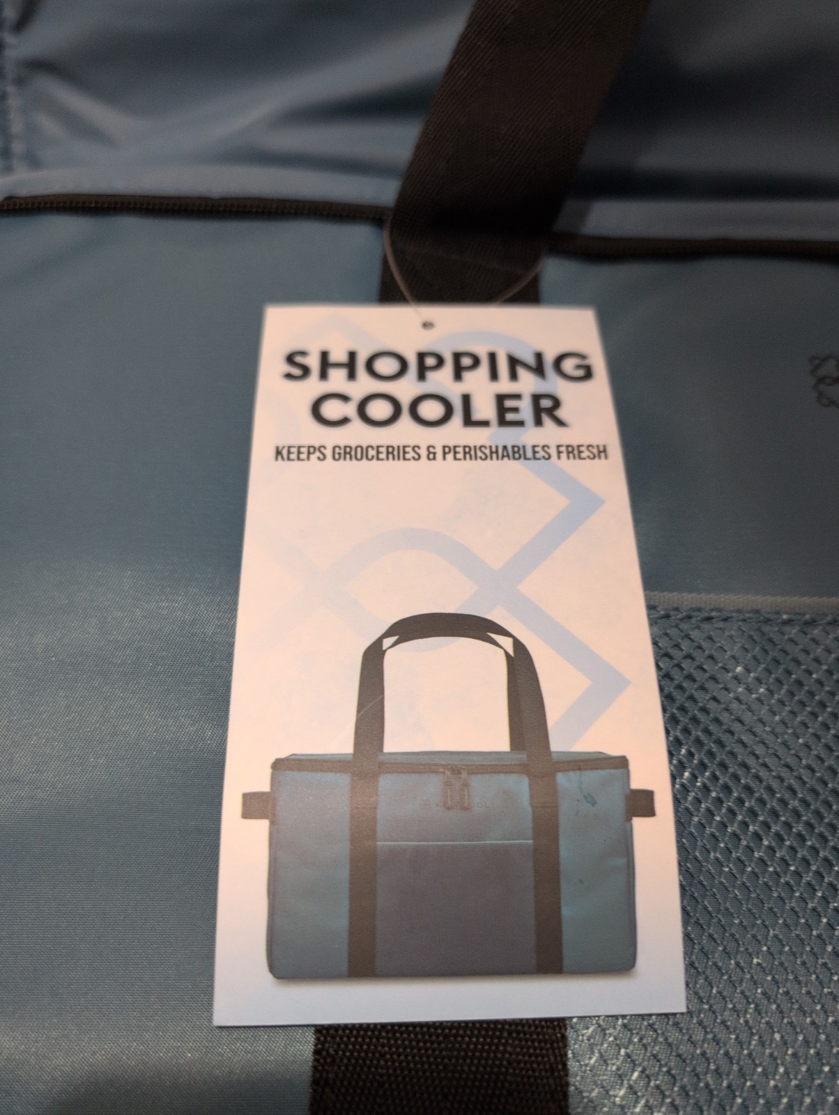 Keep Cool Insulated Reusable Shopping Bag Cooler BLUE Costco KEEPCOOL 20″ W