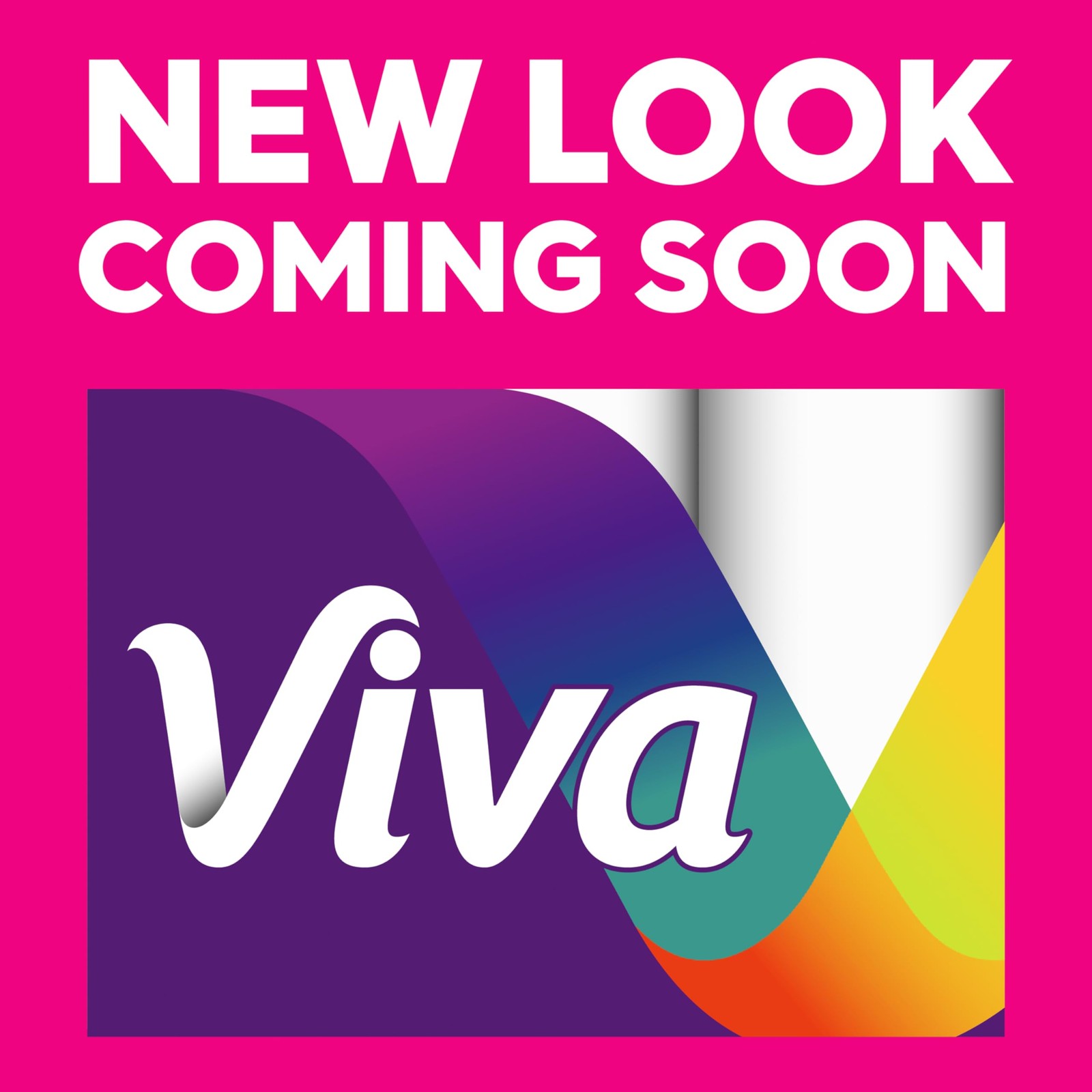 Viva Signature Cloth Paper Towels 3 Double Rolls 86 Sheets Per Roll