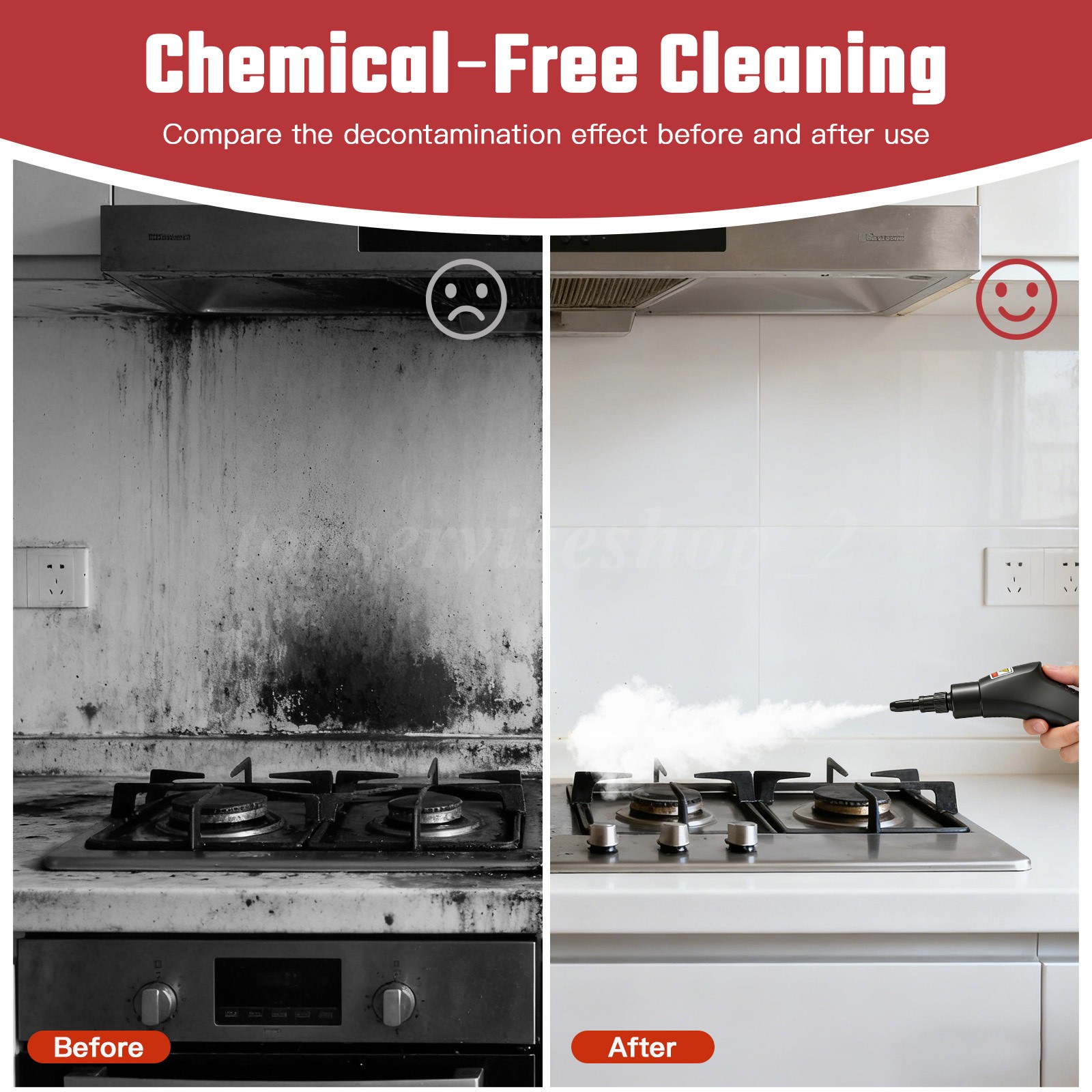 Handheld Steam Cleaner Car Detailing Cleaning Machine Vehicle Auto Washer 2500W