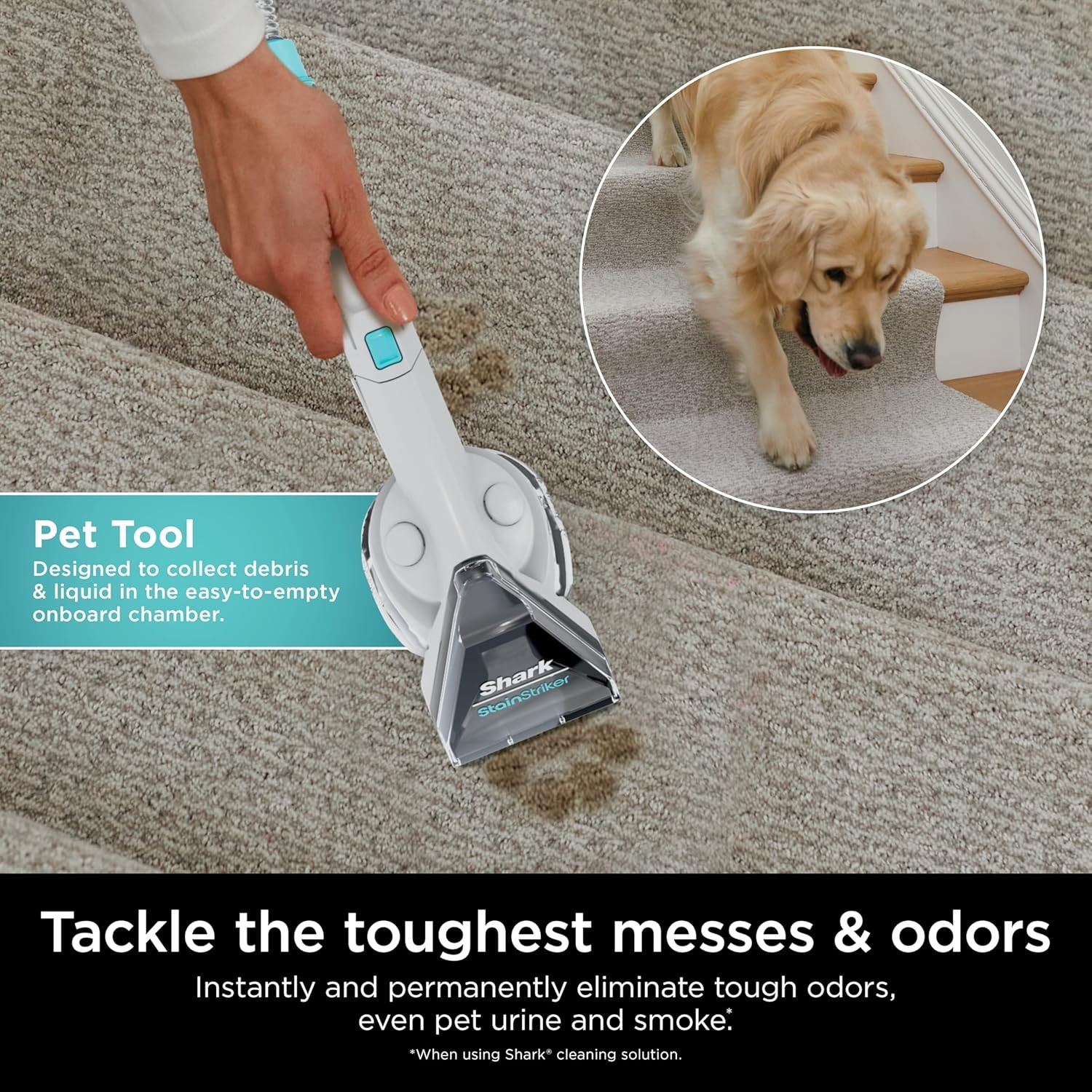 Shark Stainstriker Cleaning Solution Bundle for Portable Cleaners, Carpet and Ar