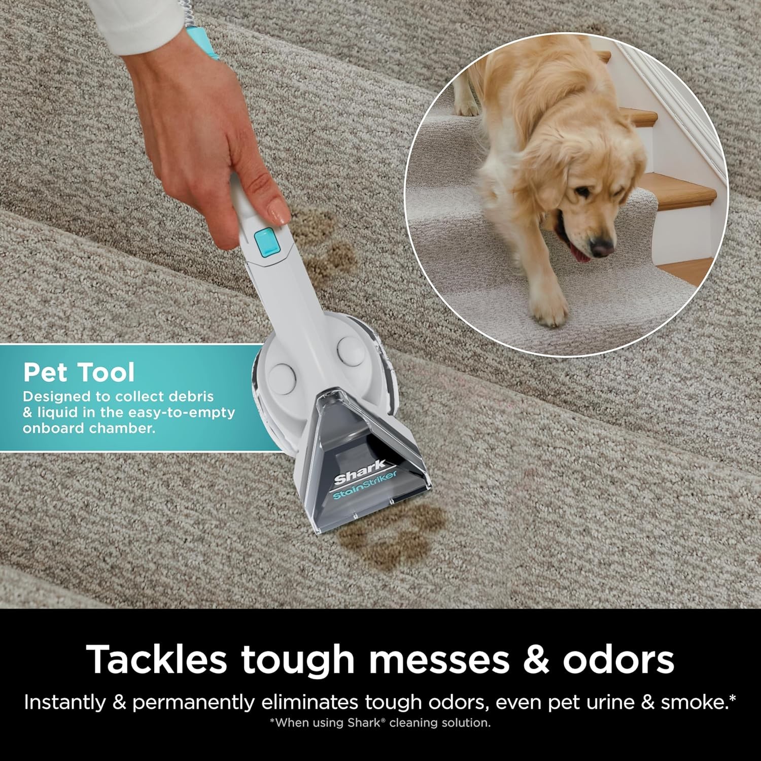 Shark R-EX201-SD CarpetXpert Carpet Upholstery Cleaner, Cyan – Scratch & Dent