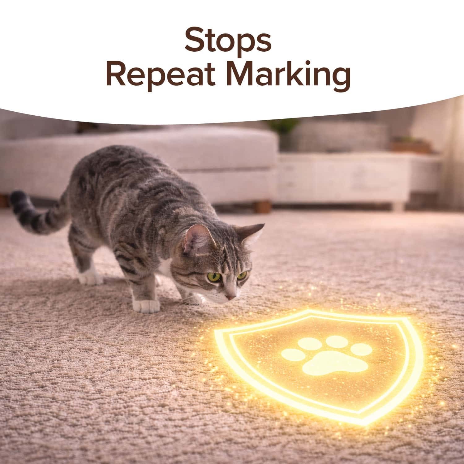 Bull Shot Pet Stains Remover, Foaming Carpet Spot Cleaner for Pet Accidents