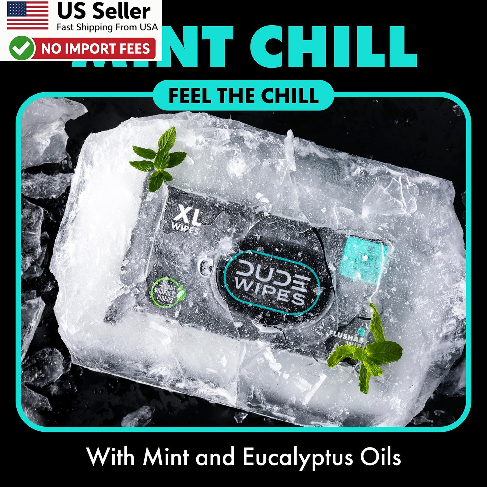 DUDE Wipes Mint Chill Flushable Wipes 48 Count Adult Wet Wipes 1 Pack FROM USA