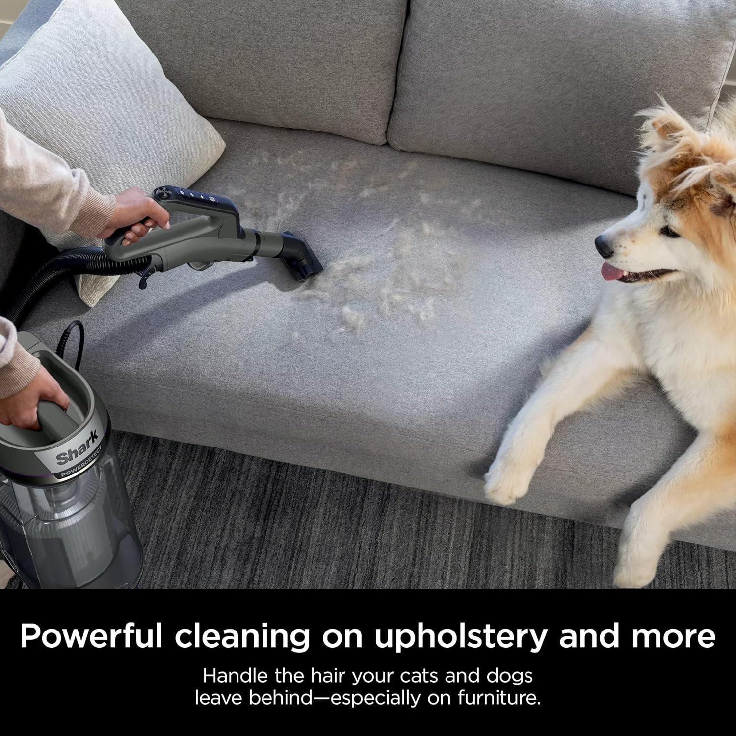 Shark Rocket pet Pro IZ140 Lightweight Cordless Stick Vacuum Self-Cleaning brush