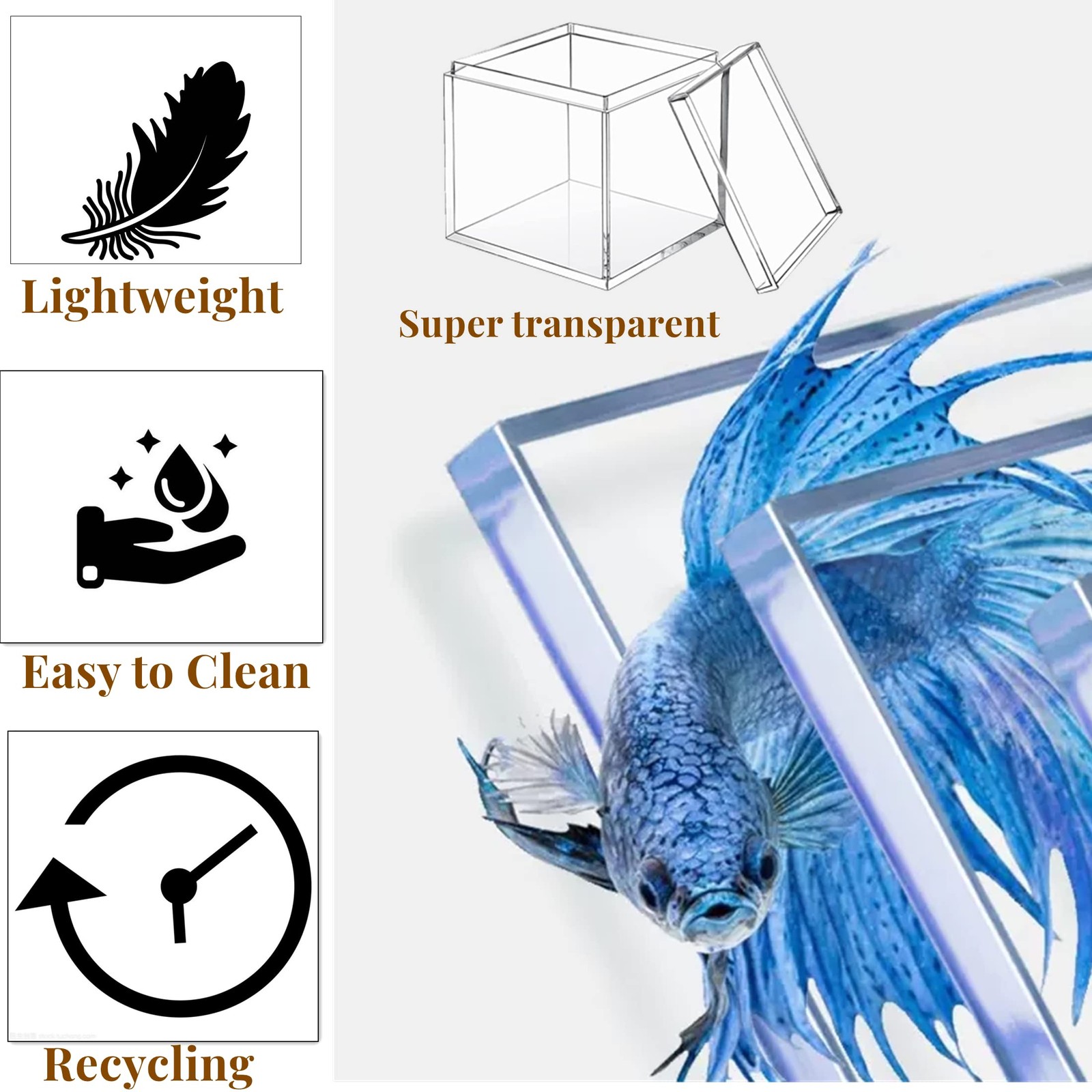 Acrylic Box Clear Display Case with Lid 4 Packs Plastick Square Cube Wedding …