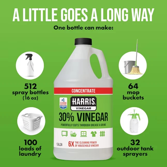 Harris 30% Concentrated Vinegar 1-Gallon Multi-Use All-Purpose Cleaning Solution
