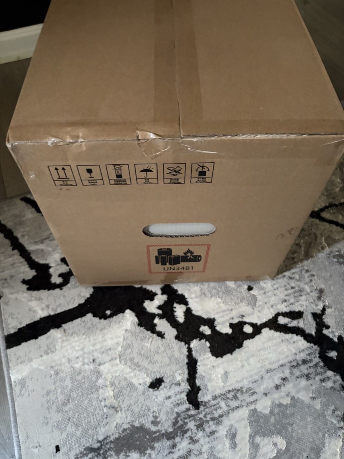 Roborock Robotic Vacuum Cleaner Shipping Box / Packaging (Brown)