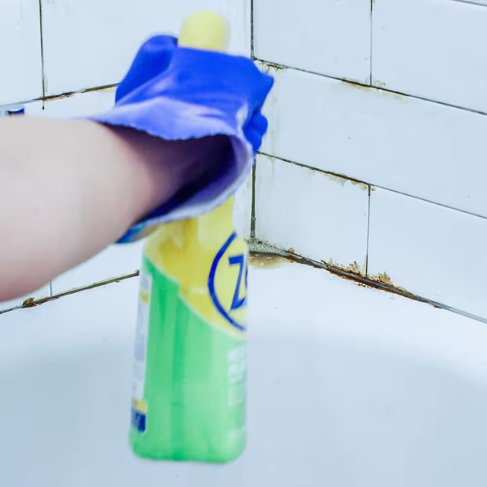 1 Gal. Mold Stain and Mildew Stain Remover