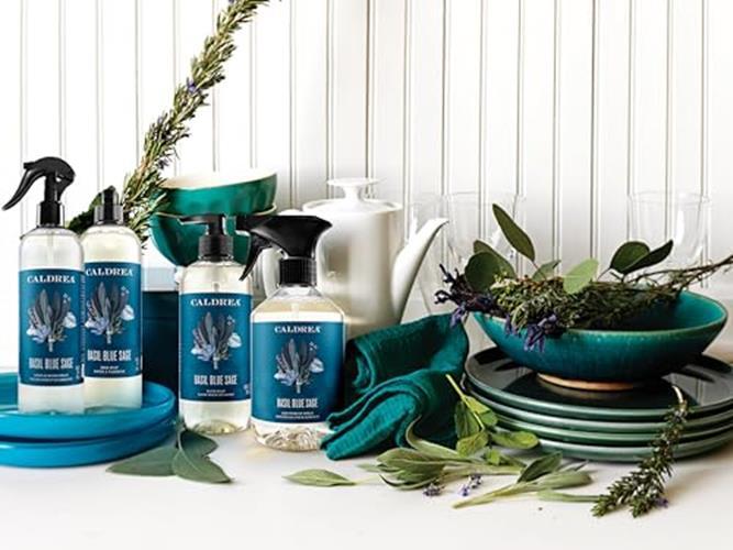 Caldrea Multi-surface CounterTop Spray Cleaner, Made Assorted Scents , Sizes