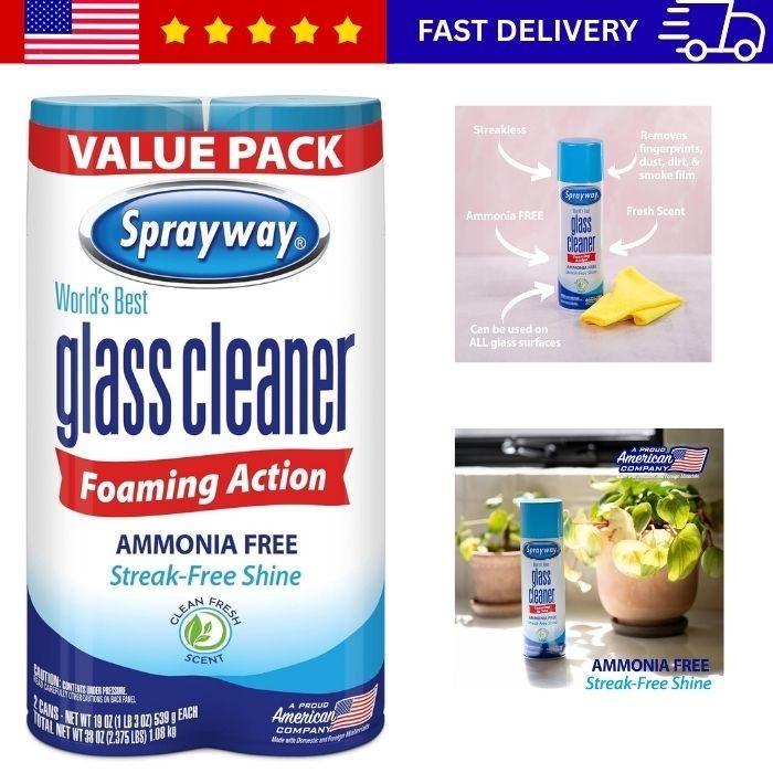 Sprayway Glass Cleaner Foaming Aerosol Spray, 19oz, Pack of 2 | Ammonia-Free, St