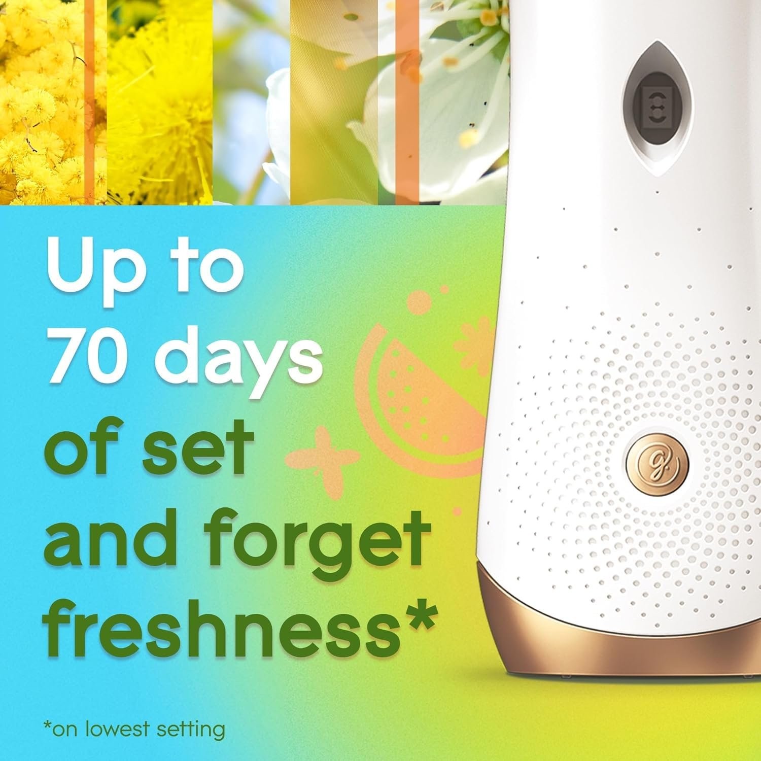 Glade Automatic Spray Refill, Radiant Bloom, Scented Air Freshener for Home…