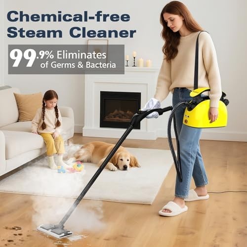 Waitbird Steam Cleaner,Multi-Purpose Steam cleaner | with 21 Accessories|248 F H
