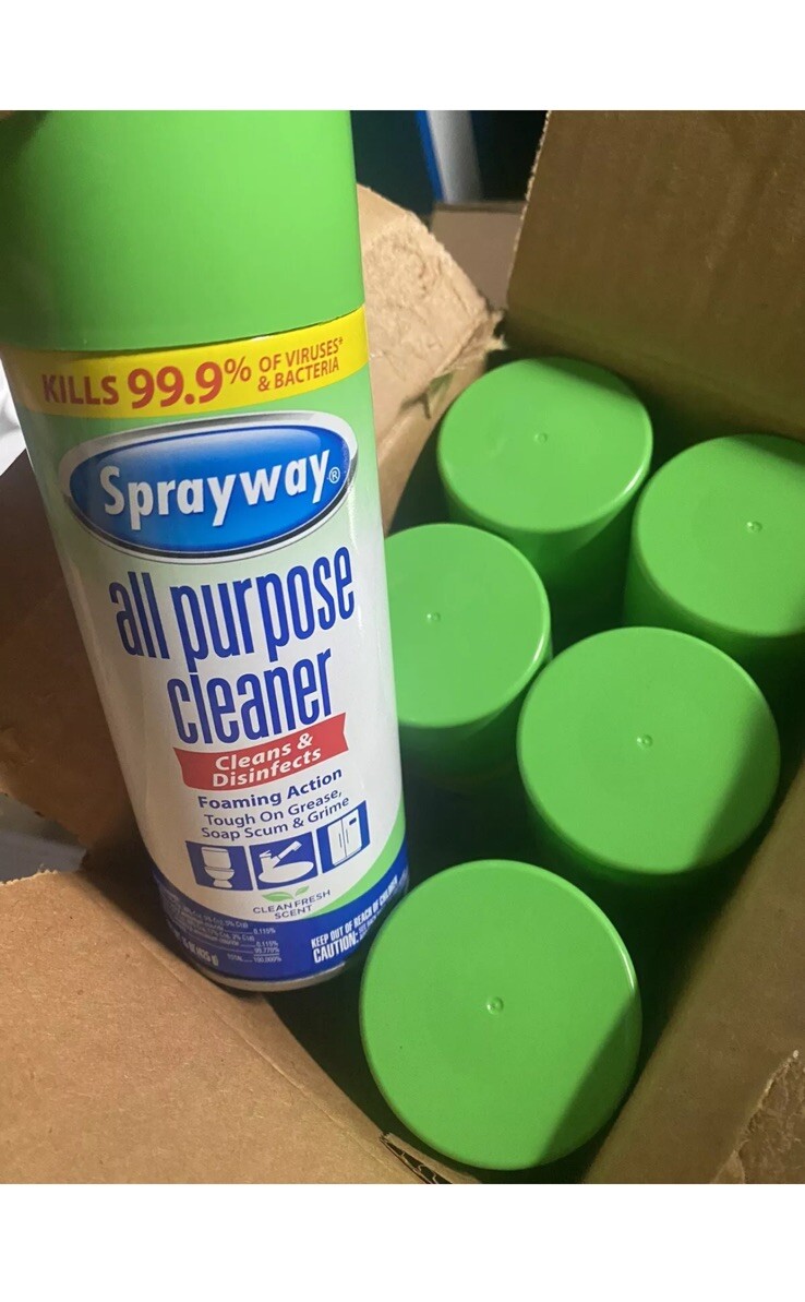 Sprayway All-Purpose Disinfectant Cleaner, Foam Cleaner, 15 Oz Cans, 6 Per Case
