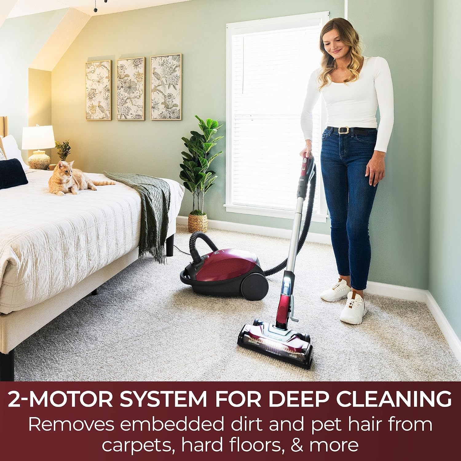 Kenmore Elite 81715 700 Series Bagged Canister Vacuum HEPA Pet Hair Eliminator