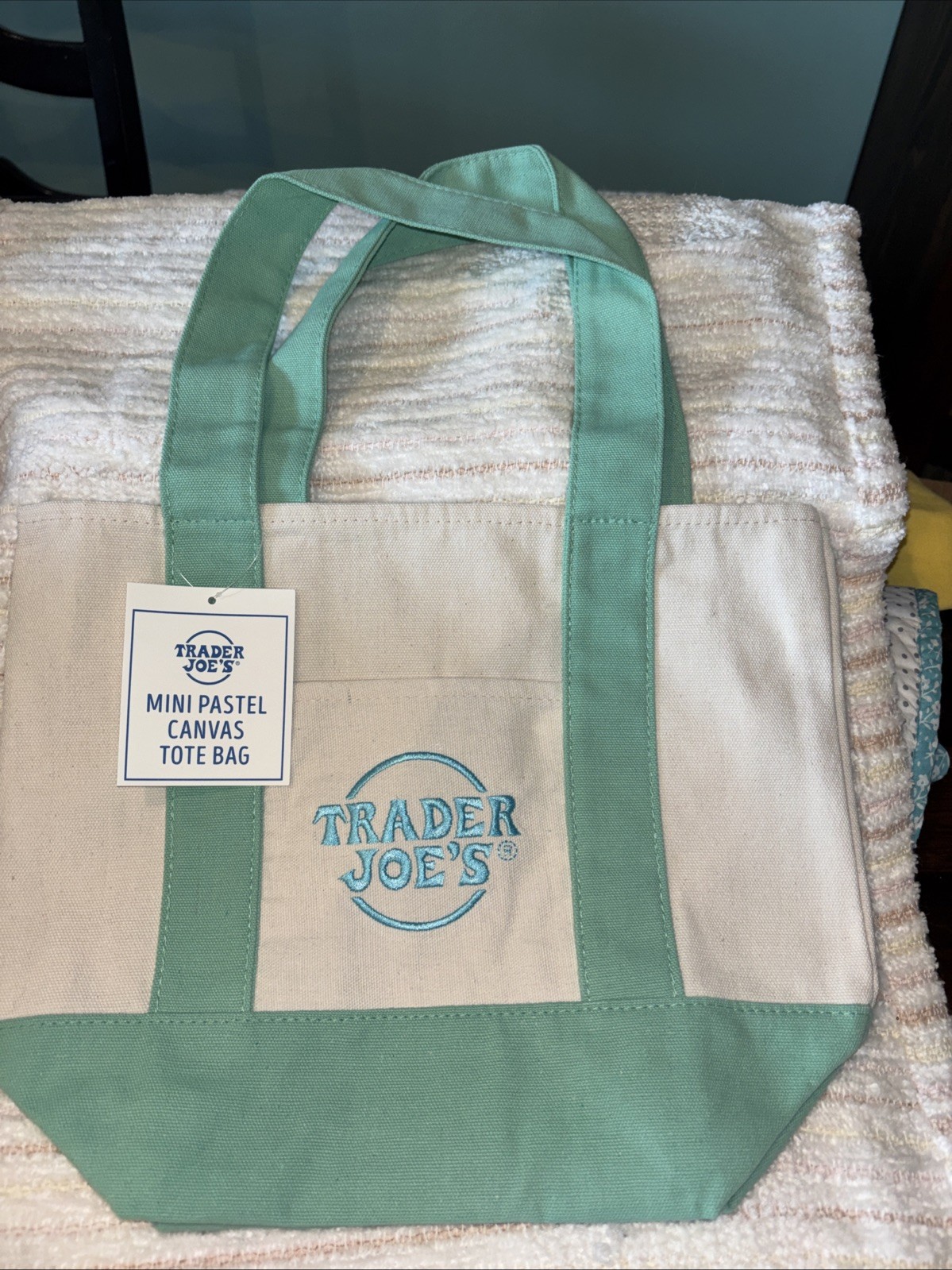 Trader Joe’s Teal/Mint Green Pastel Mini Canvas Tote gift bag NEW