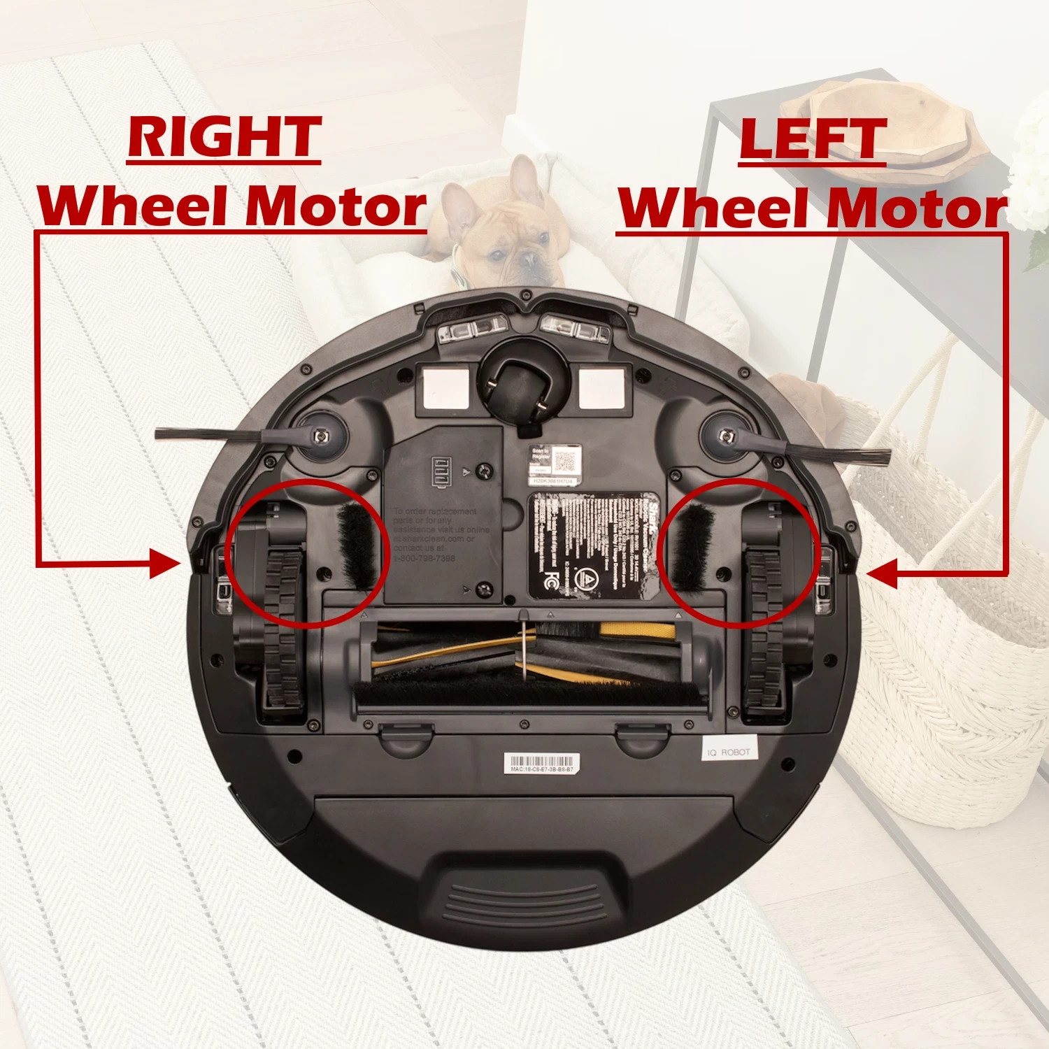 OEM Shark LEFT or RIGHT Wheel Motor RV24022DUS, RV24023DUS, RV2402WD, RV2402WS