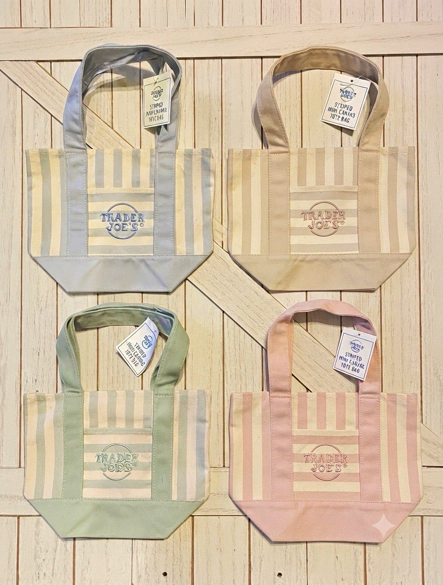 Trader Joe’s Striped Mini Canvas Tote Bag Cotton/Polyester 13x10x6 Multicolor