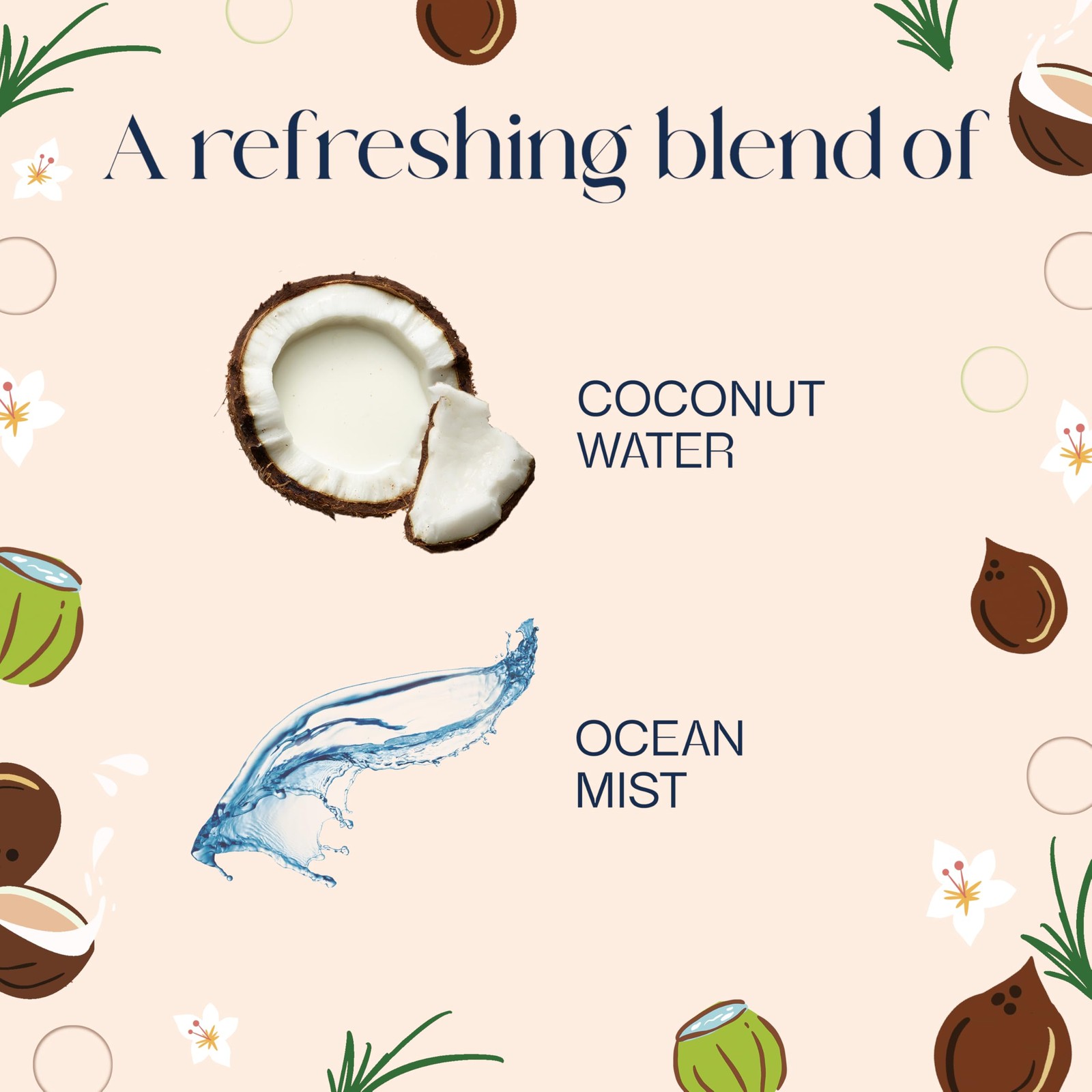 Coconut Water & Beach Grass Air Freshener Spray, 7.3 oz, 6 Pack