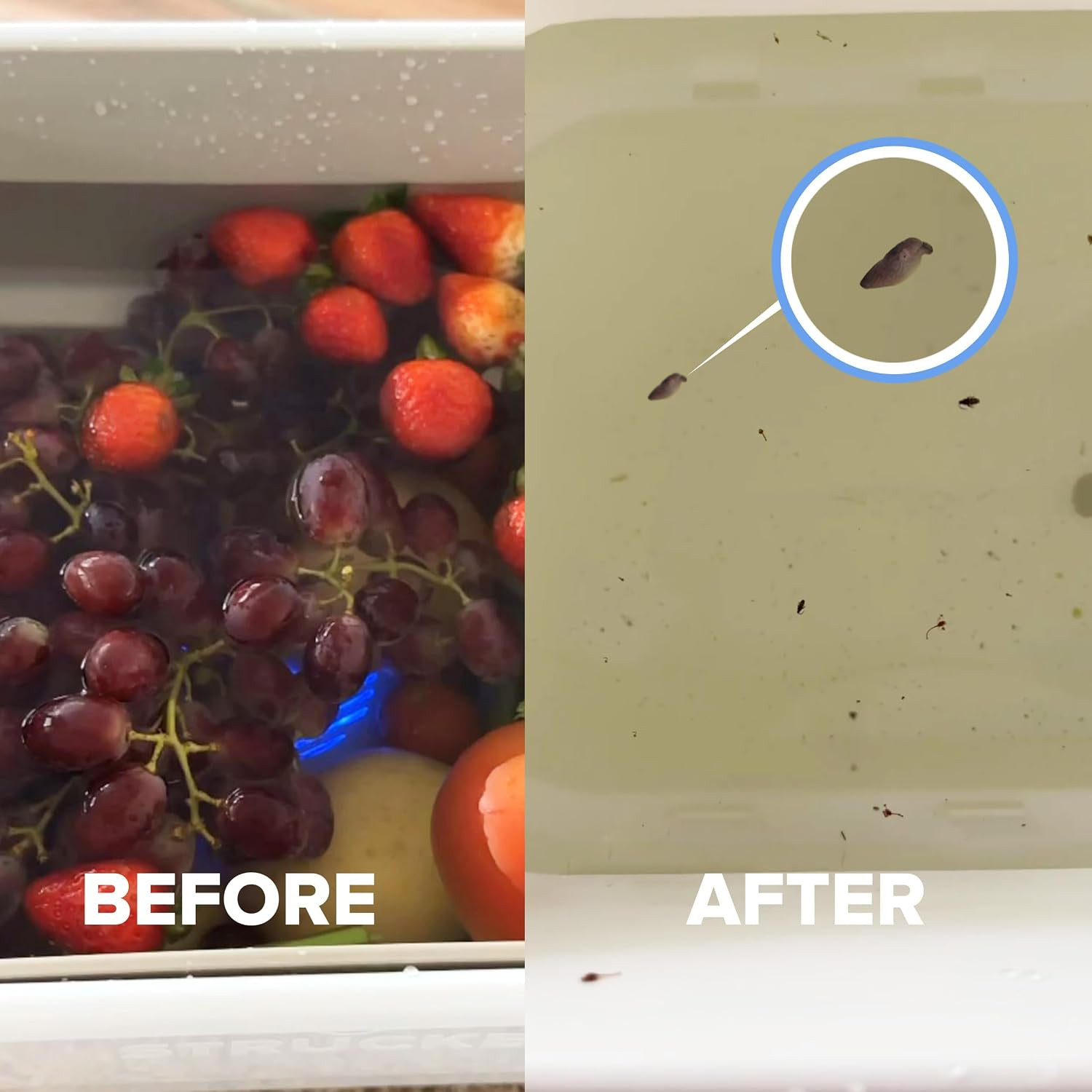 – Fruit and Vegetable Washing Machine, 1-Year , Fruit Cleaner Device That Cleans