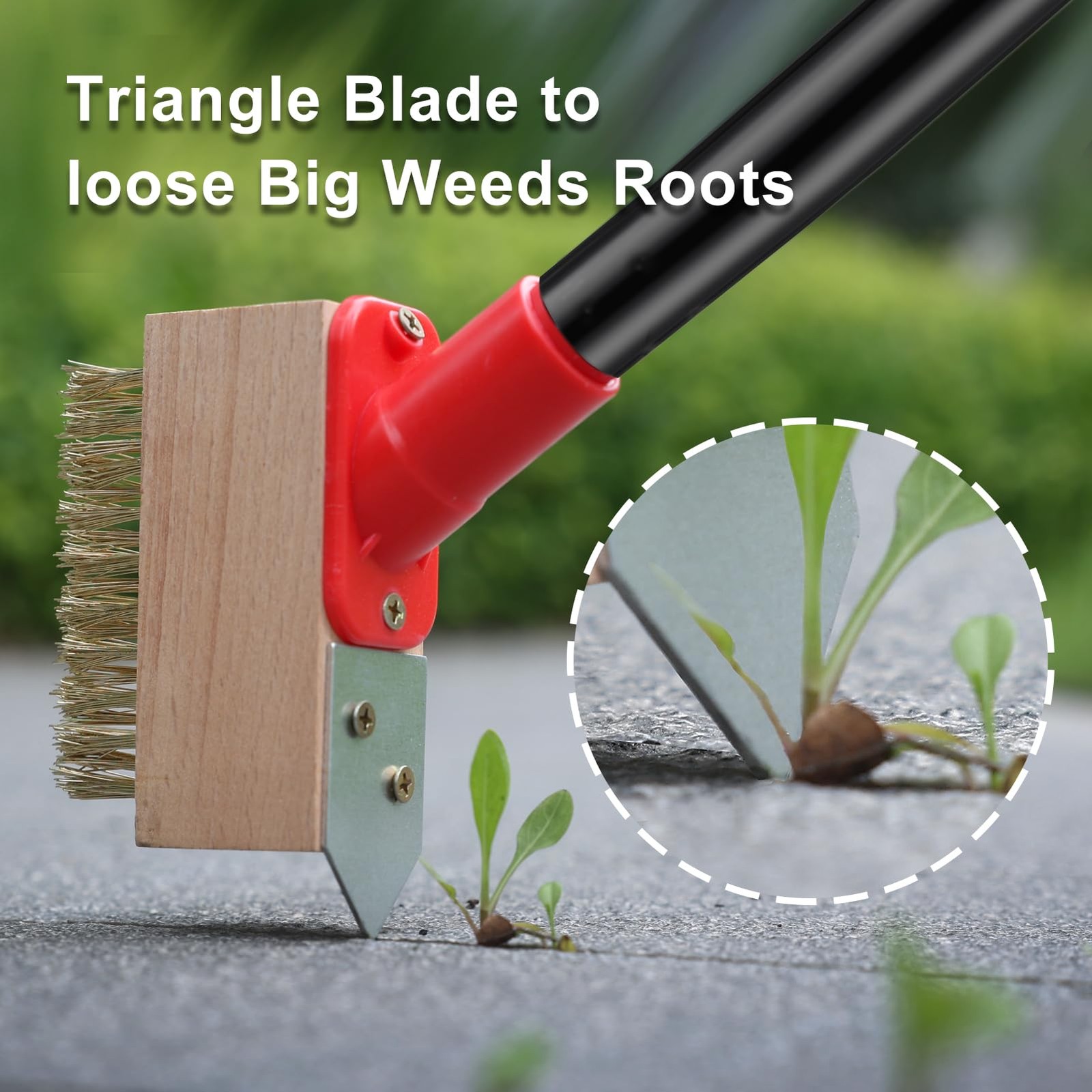 Moss Removal Brush with Long Handle, Deck Crack Cleaner & Weed Remover Tool