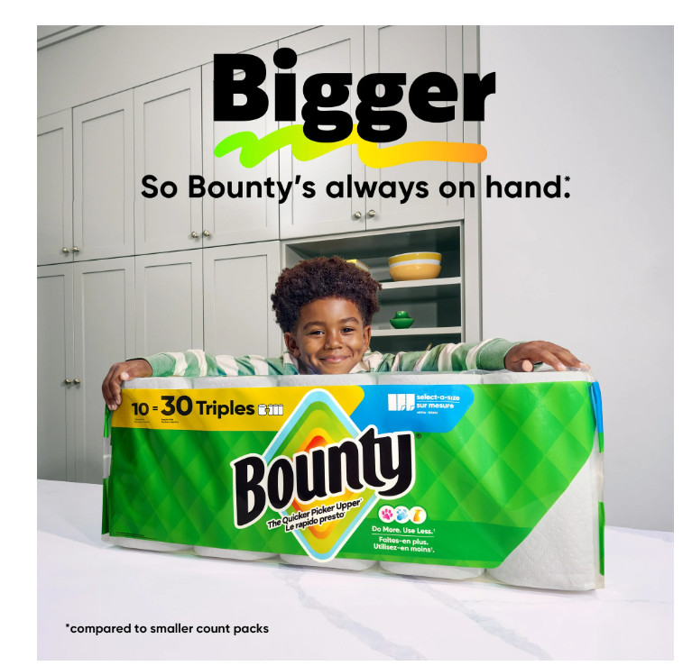Select-A-Size White Paper Towels 12 Triple Rolls 123 Sheets Each