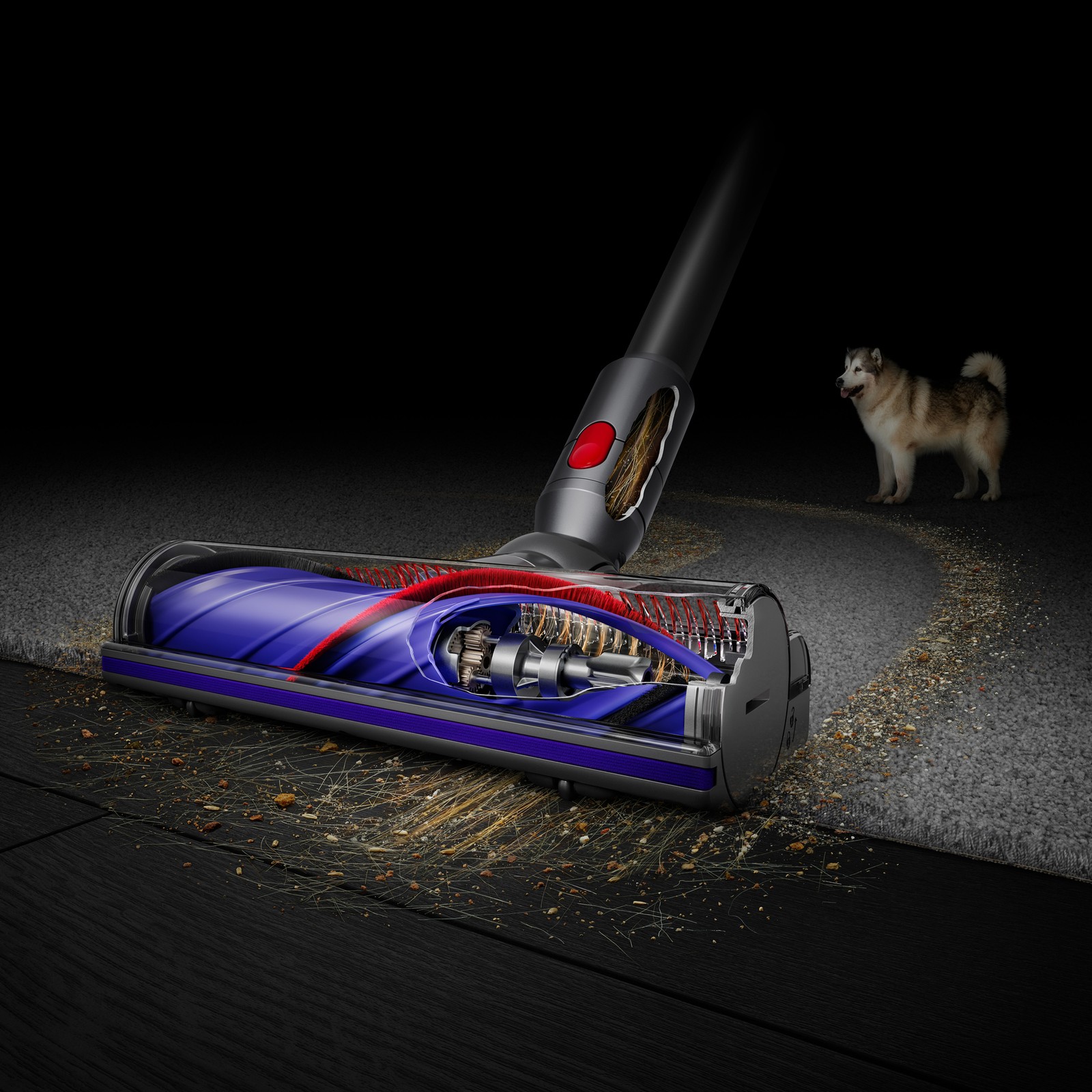 SV28 V11 Complete Cordless Vacuum Cleaner | Blue | Refurbished