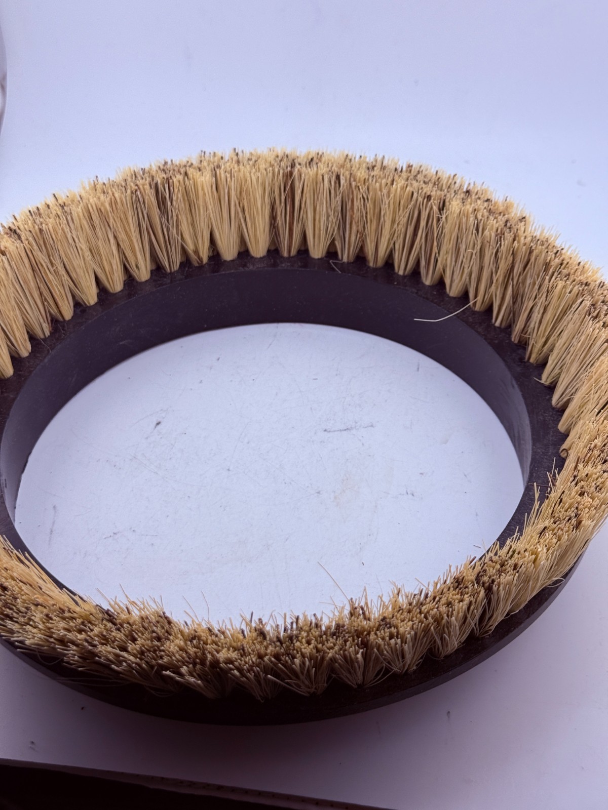 Oreck Commercial 237048 Natural Fiber Union Mix Polishing & Light Scrubbing