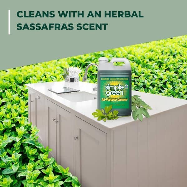 2 Pack Simple Green 2.5 Gal. All-Purpose Cleaner Concentrated Formula Sassafras