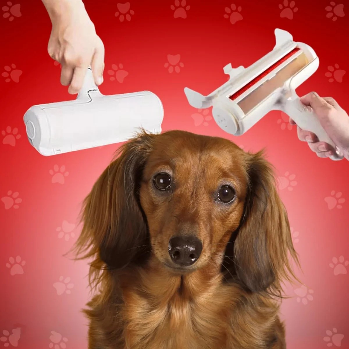 Chom Chom Roller Pet Hair Remover and Reusable Lint Roller Chomchom Cat,Dog pet