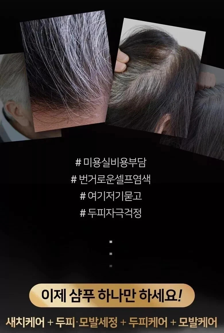 Cheongdam Style Forest Black Change Shampoo 200ml ×2 / Dark Brown / K-Beauty