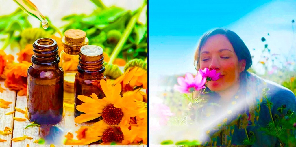 AIR WICK 5 Refill Bottles + 1 Plug Warmer 300 Days Natural Oil Fragrances 100ml
