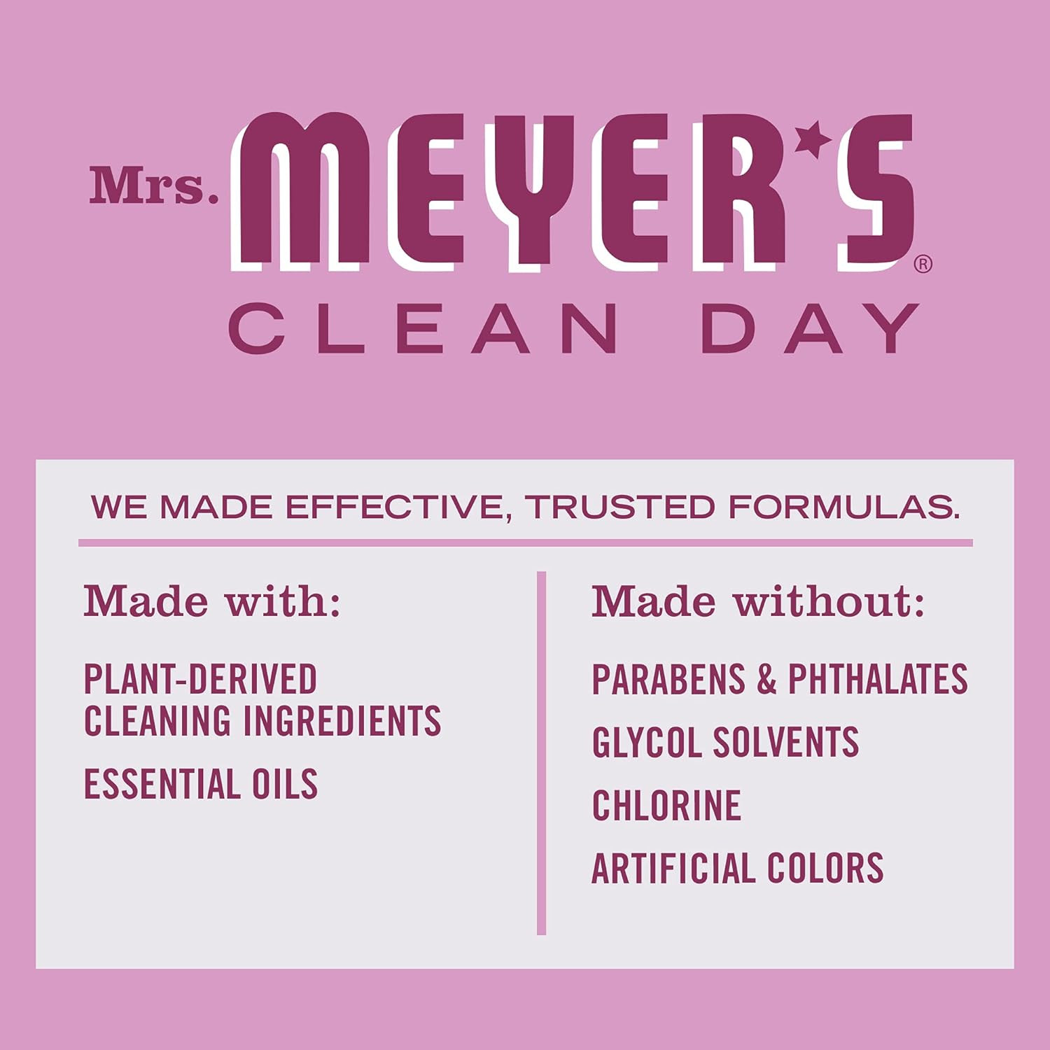 CLEAN DAY Multi-Surface Cleaner Concentrate, Use to Clean Floors, Tile, Counters