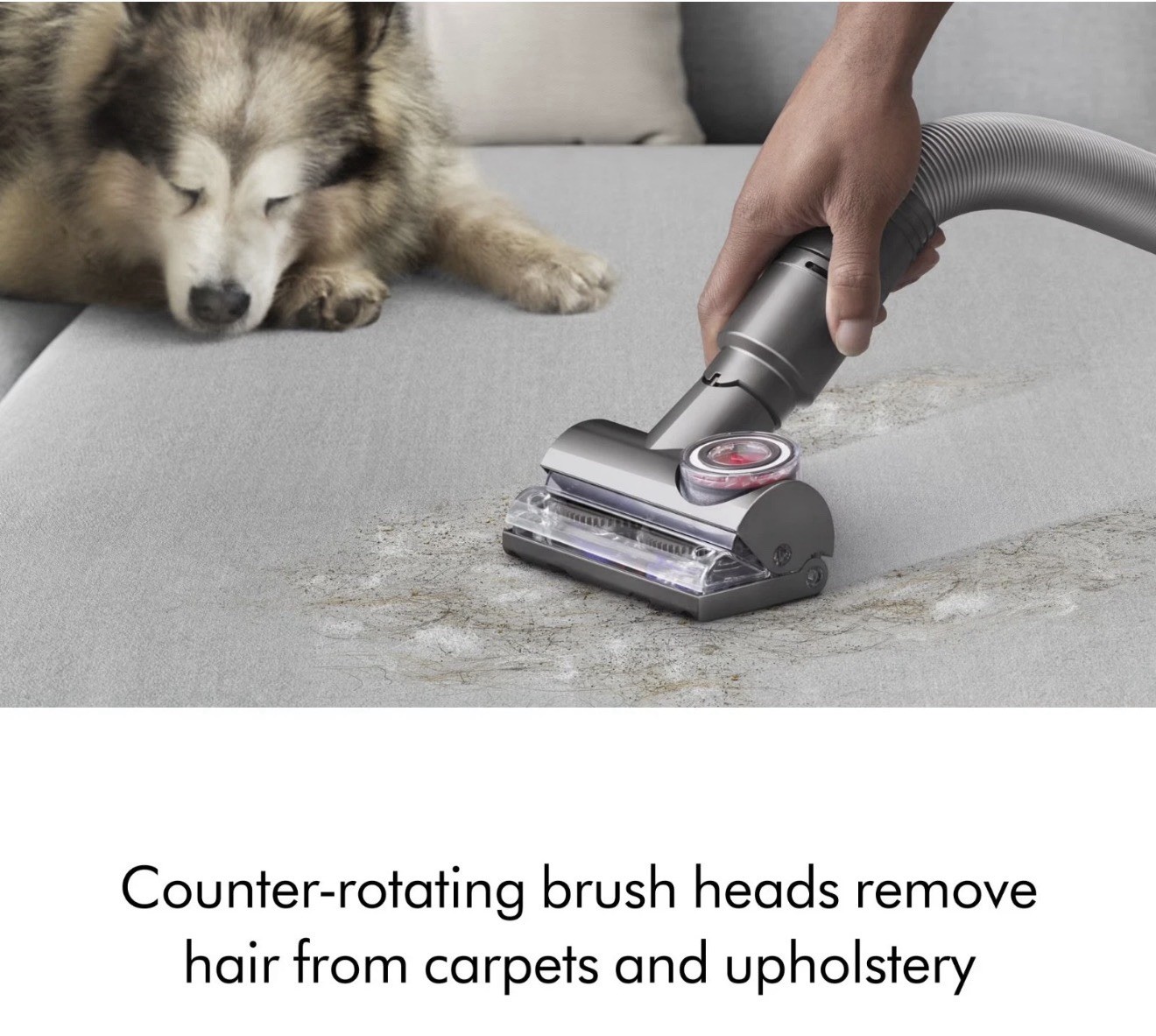 Dyson Ball Animal 3 Upright Vacuum Cleaner – Silver/ nickle (405866-01)