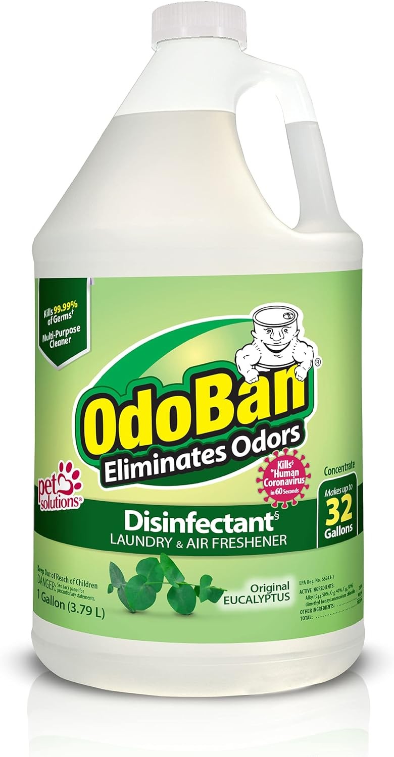 Disinfectant Concentrate and Odor Eliminator,1 Gallon, Original Eucalyptus