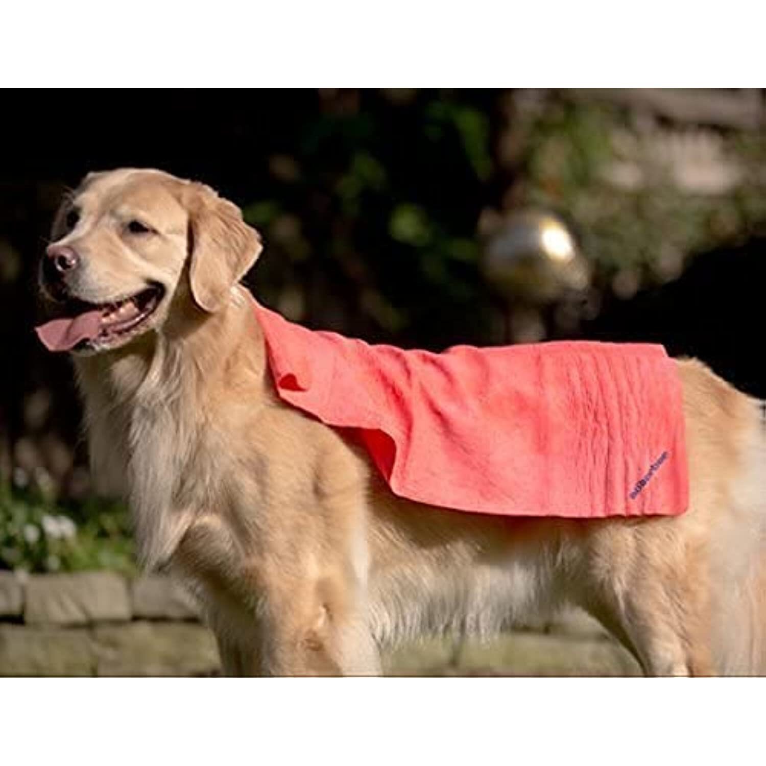 CleanTools The Absorber Synthetic Premium Drying Chamois Cloth for Car: Super